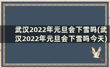 武汉2022年元旦会下雪吗(武汉2022年元旦会下雪吗今天)