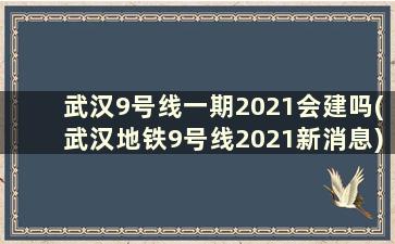 武汉9号线一期2021会建吗(武汉地铁9号线2021新消息)