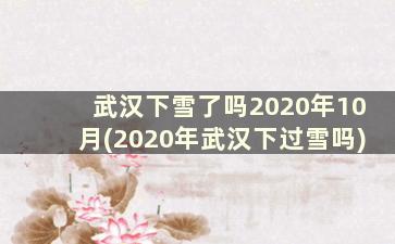 武汉下雪了吗2020年10月(2020年武汉下过雪吗)