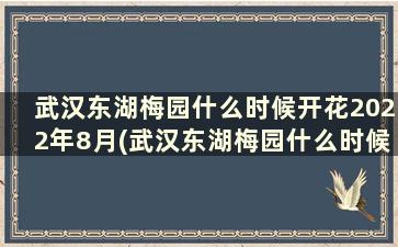 武汉东湖梅园什么时候开花2022年8月(武汉东湖梅园什么时候开花2022年7月)