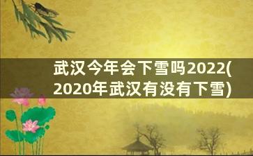 武汉今年会下雪吗2022(2020年武汉有没有下雪)