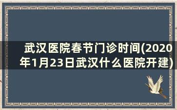 武汉医院春节门诊时间(2020年1月23日武汉什么医院开建)