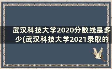 武汉科技大学2020分数线是多少(武汉科技大学2021录取的分数线是多少)