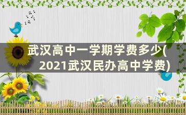 武汉高中一学期学费多少(2021武汉民办高中学费)