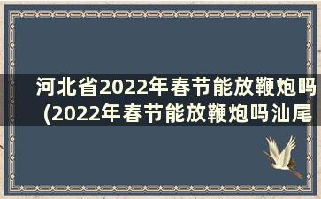 河北省2022年春节能放鞭炮吗(2022年春节能放鞭炮吗汕尾)