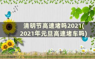 清明节高速堵吗2021(2021年元旦高速堵车吗)