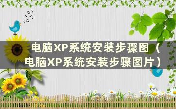 电脑XP系统安装步骤图（电脑XP系统安装步骤图片）