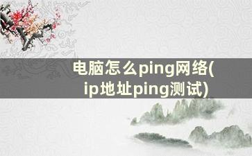 电脑怎么ping网络(ip地址ping测试)