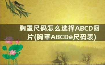 胸罩尺码怎么选择ABCD图片(胸罩ABCDe尺码表)
