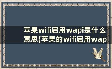 苹果wifi启用wapi是什么意思(苹果的wifi启用wapi是什么)