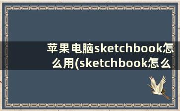 苹果电脑sketchbook怎么用(sketchbook怎么导入图片临摹)