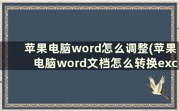 苹果电脑word怎么调整(苹果电脑word文档怎么转换excel)