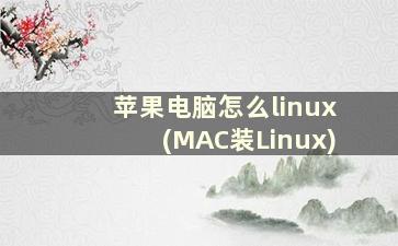 苹果电脑怎么linux(MAC装Linux)