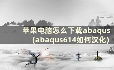 苹果电脑怎么下载abaqus(abaqus614如何汉化)