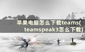 苹果电脑怎么下载teams(teamspeak3怎么下载)