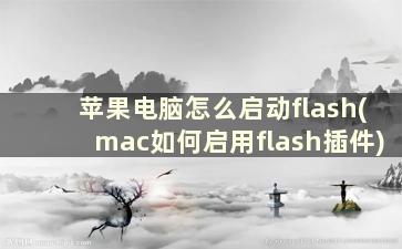 苹果电脑怎么启动flash(mac如何启用flash插件)