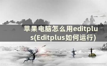 苹果电脑怎么用editplus(Editplus如何运行)