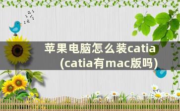 苹果电脑怎么装catia(catia有mac版吗)