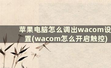 苹果电脑怎么调出wacom设置(wacom怎么开启触控)