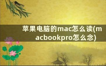 苹果电脑的mac怎么读(macbookpro怎么念)