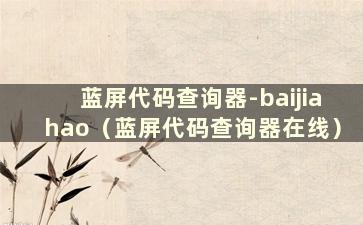 蓝屏代码查询器-baijiahao（蓝屏代码查询器在线）