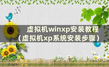 虚拟机winxp安装教程（虚拟机xp系统安装步骤）
