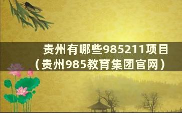 贵州有哪些985211项目（贵州985教育集团官网）