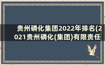 贵州磷化集团2022年排名(2021贵州磷化(集团)有限责任公司)