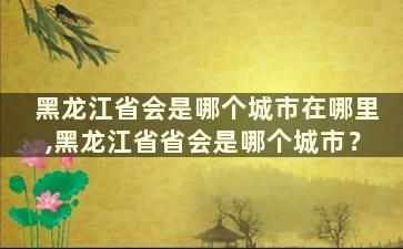 黑龙江省会是哪个城市在哪里,黑龙江省省会是哪个城市？